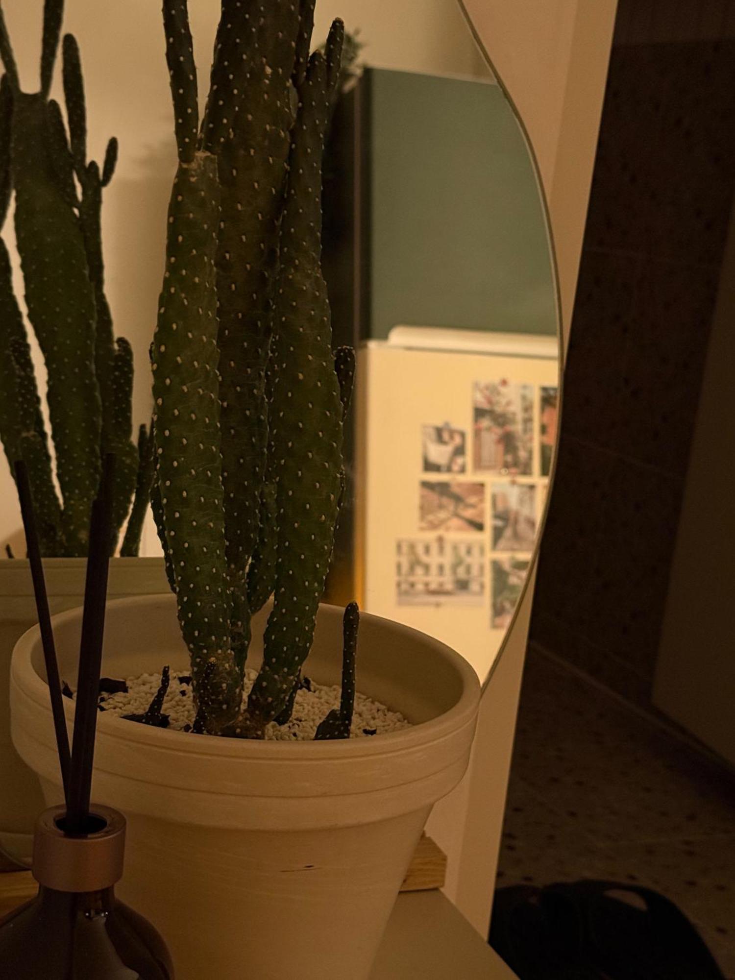 Apartment Seoulite Seoul